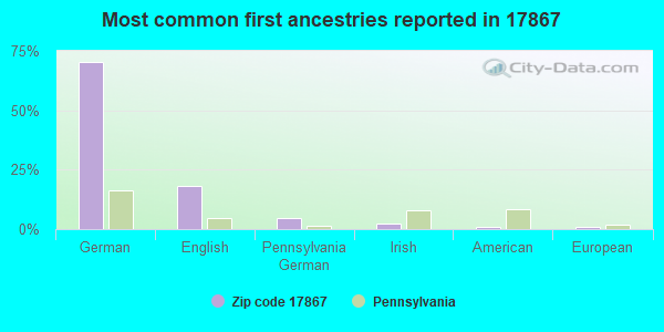 Most common first ancestries reported in 17867