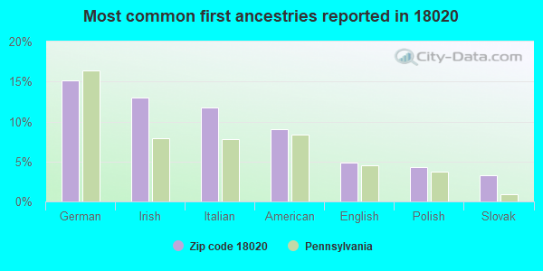 Most common first ancestries reported in 18020
