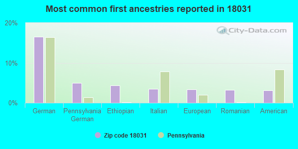 Most common first ancestries reported in 18031