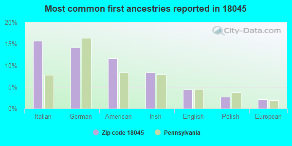 Most common first ancestries reported in 18045