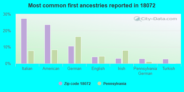 Most common first ancestries reported in 18072