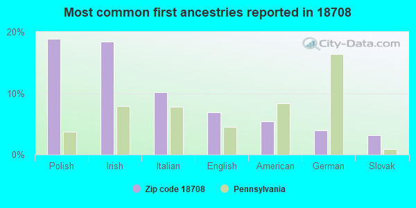 Most common first ancestries reported in 18708