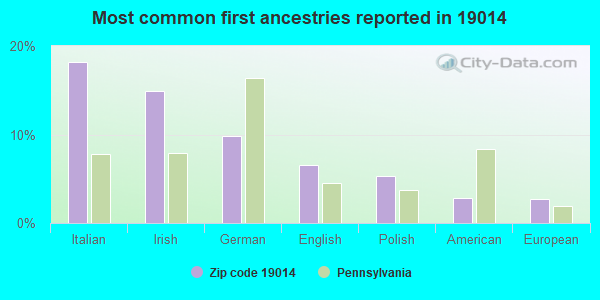 Most common first ancestries reported in 19014