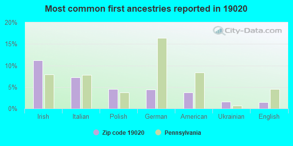 Most common first ancestries reported in 19020