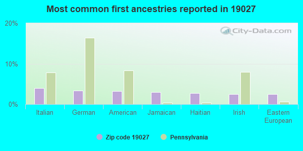 Most common first ancestries reported in 19027