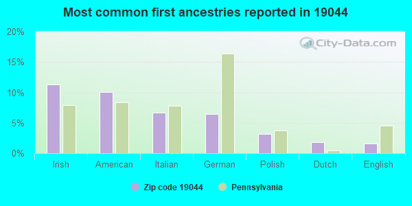 Most common first ancestries reported in 19044
