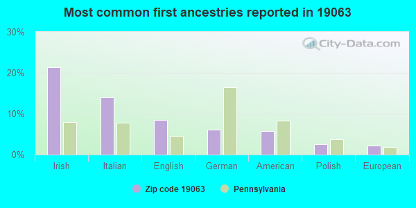 Most common first ancestries reported in 19063