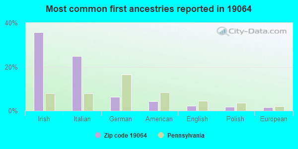 Most common first ancestries reported in 19064