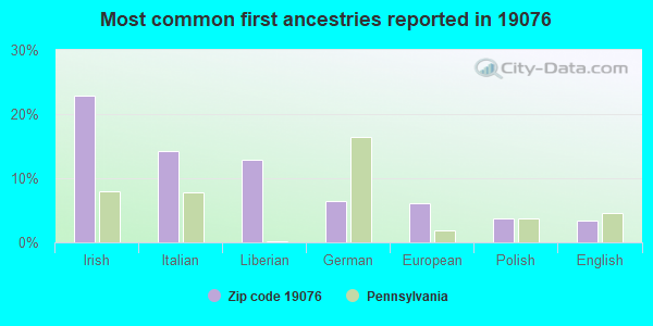 Most common first ancestries reported in 19076