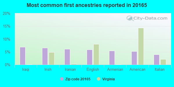 Most common first ancestries reported in 20165