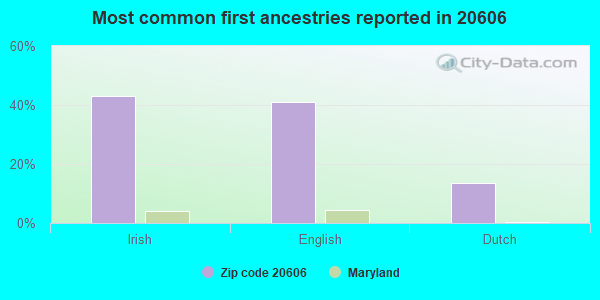 Most common first ancestries reported in 20606