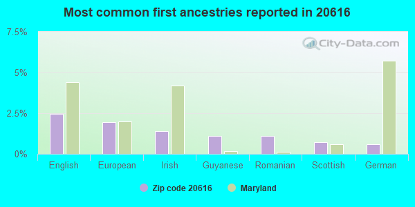 Most common first ancestries reported in 20616