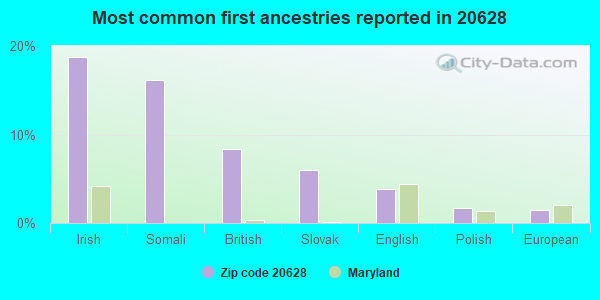 Most common first ancestries reported in 20628