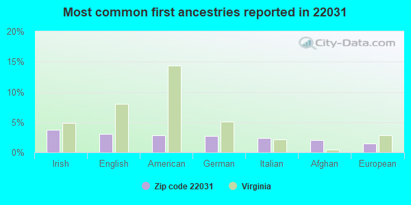 Most common first ancestries reported in 22031