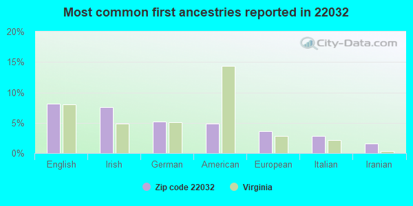 Most common first ancestries reported in 22032