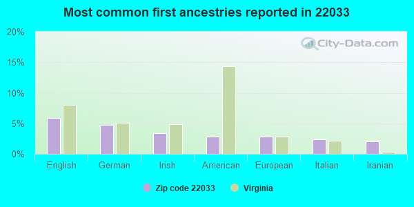 Most common first ancestries reported in 22033