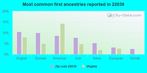 Most common first ancestries reported in 22039