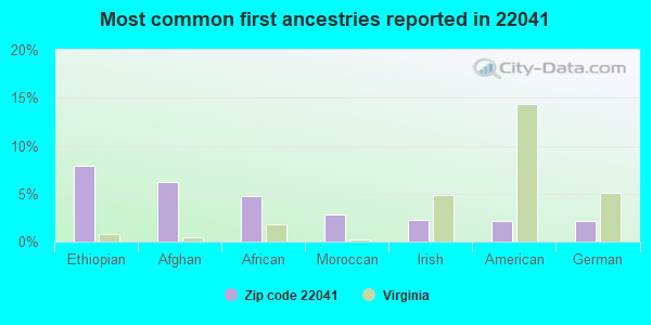Most common first ancestries reported in 22041