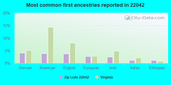 Most common first ancestries reported in 22042