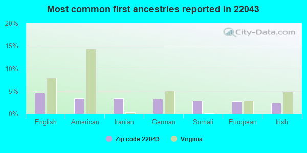 Most common first ancestries reported in 22043