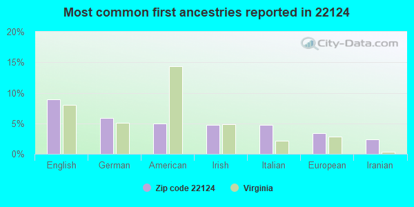 Most common first ancestries reported in 22124