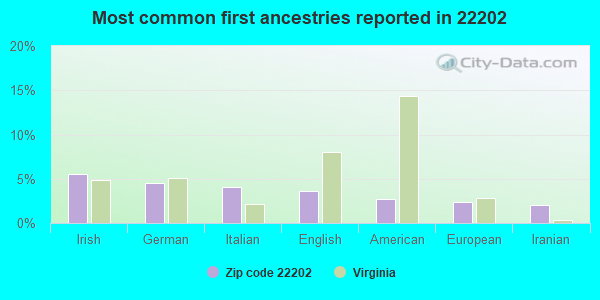 Most common first ancestries reported in 22202