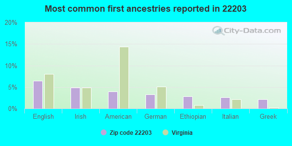 Most common first ancestries reported in 22203