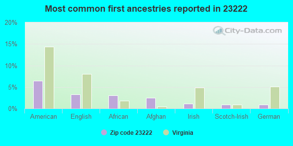 Most common first ancestries reported in 23222