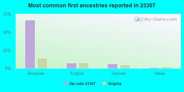 Most common first ancestries reported in 23307