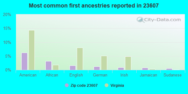 Most common first ancestries reported in 23607