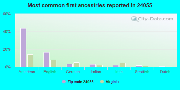 Most common first ancestries reported in 24055