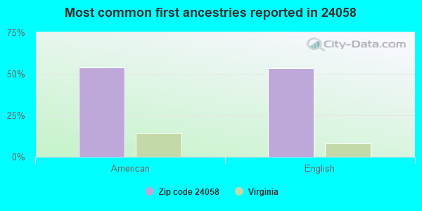 Most common first ancestries reported in 24058