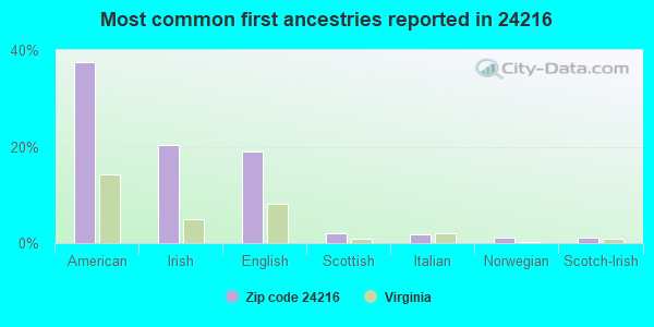 Most common first ancestries reported in 24216