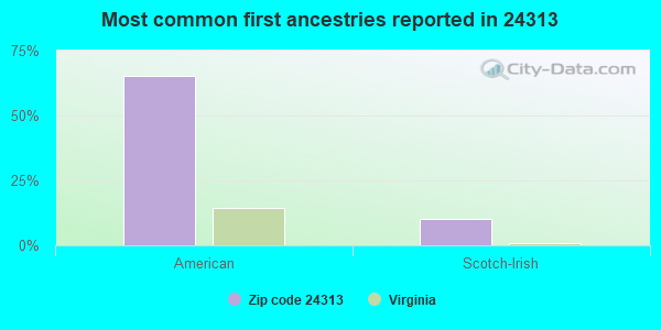 Most common first ancestries reported in 24313