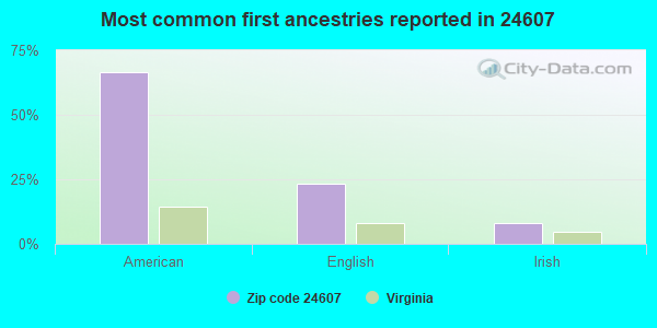 Most common first ancestries reported in 24607
