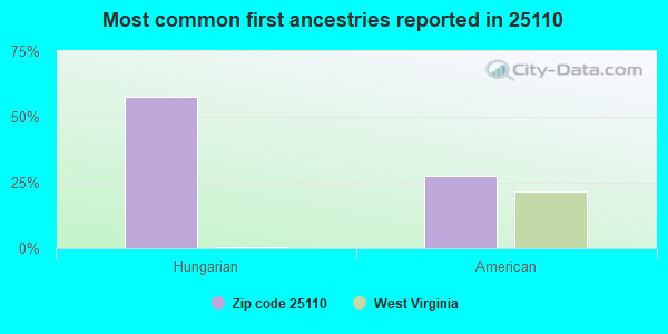 Most common first ancestries reported in 25110
