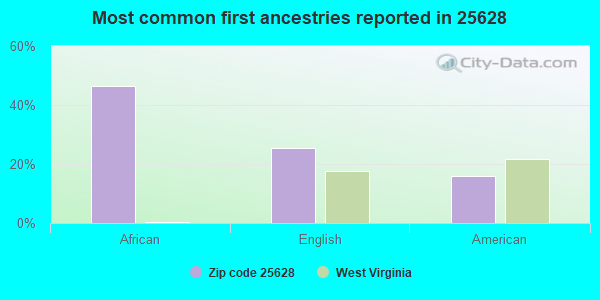 Most common first ancestries reported in 25628