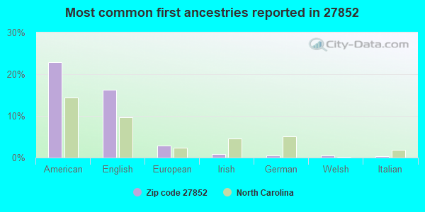Most common first ancestries reported in 27852
