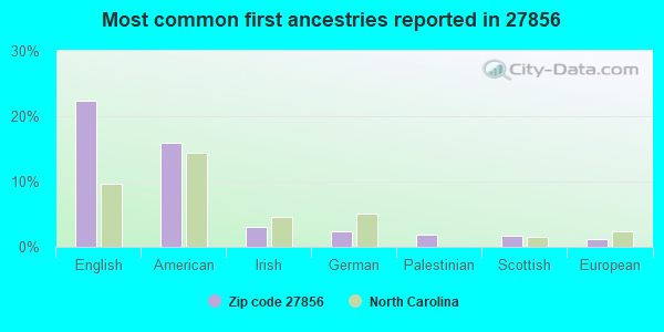 Most common first ancestries reported in 27856