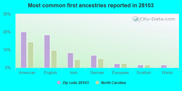 Most common first ancestries reported in 28103