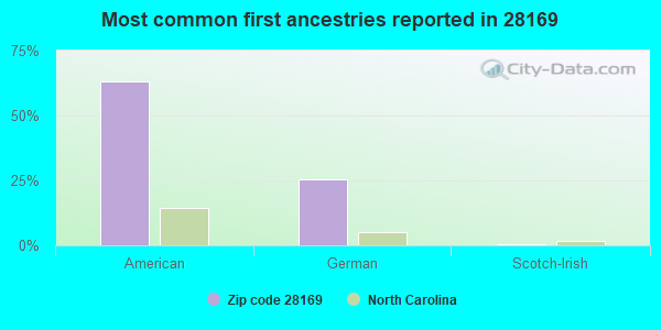 Most common first ancestries reported in 28169