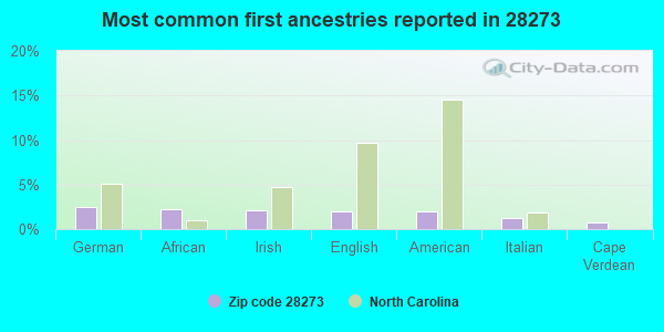 Most common first ancestries reported in 28273