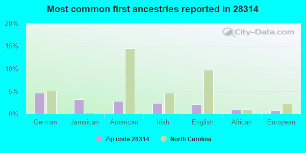 Most common first ancestries reported in 28314