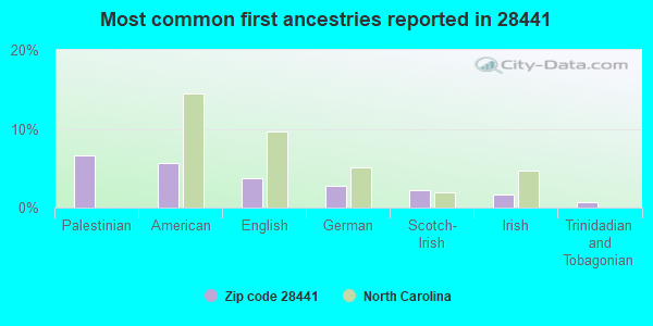 Most common first ancestries reported in 28441