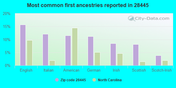 Most common first ancestries reported in 28445