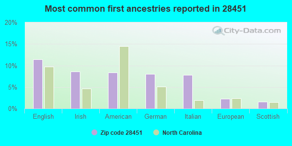 Most common first ancestries reported in 28451