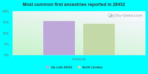Most common first ancestries reported in 28452