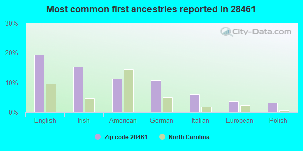 Most common first ancestries reported in 28461