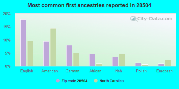 Most common first ancestries reported in 28504