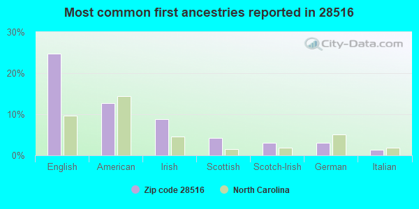 Most common first ancestries reported in 28516